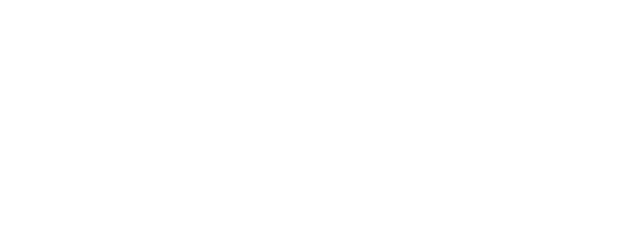 Ariel Wolman